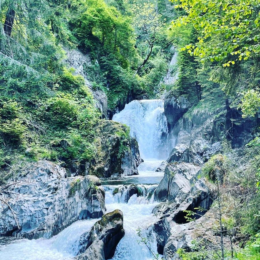 Ferienwohnung Daberer Obervellach Εξωτερικό φωτογραφία