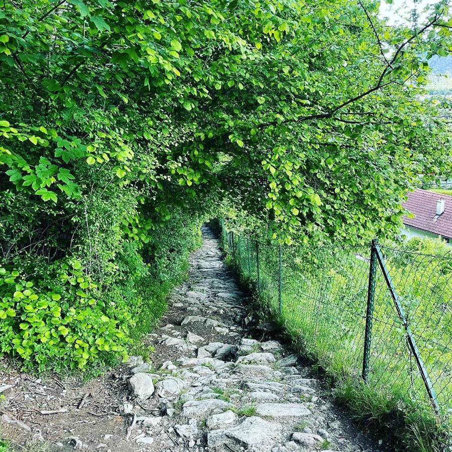Ferienwohnung Daberer Obervellach Εξωτερικό φωτογραφία